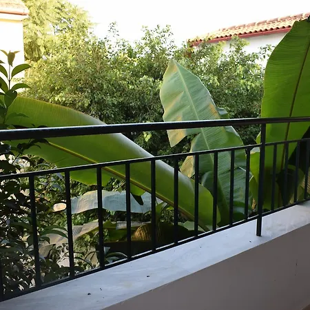 Akti Panela 3*